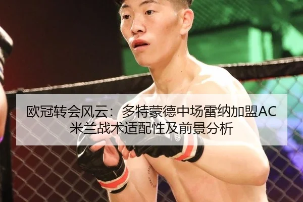欧冠转会风云：多特蒙德中场雷纳加盟AC米兰战术适配性及前景分析