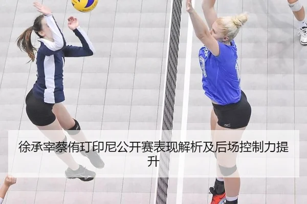 徐承宰蔡侑玎印尼公开赛表现解析及后场控制力提升