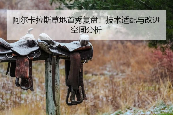 阿尔卡拉斯草地首秀复盘：技术适配与改进空间分析