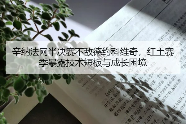 xin-na-fa-wang-ban-jue-sai-bu-di-de-yue-ke-wei-qi-hong-tu-sai-ji-bao-lu-ji-shu-duan-ban-yu-cheng-zhang-kun-jing-2-659.jpg